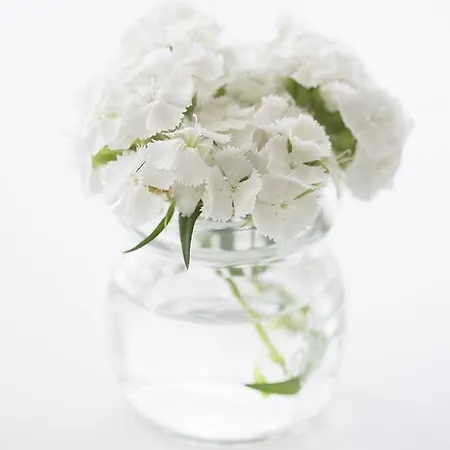 酒店 Ariae Dependance - Alihotels 圣乔瓦尼·罗通多