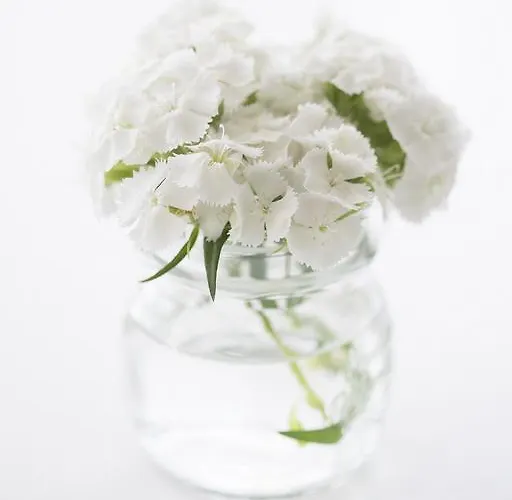 Hotel Ariae Dependance - Alihotels San Giovanni Rotondo